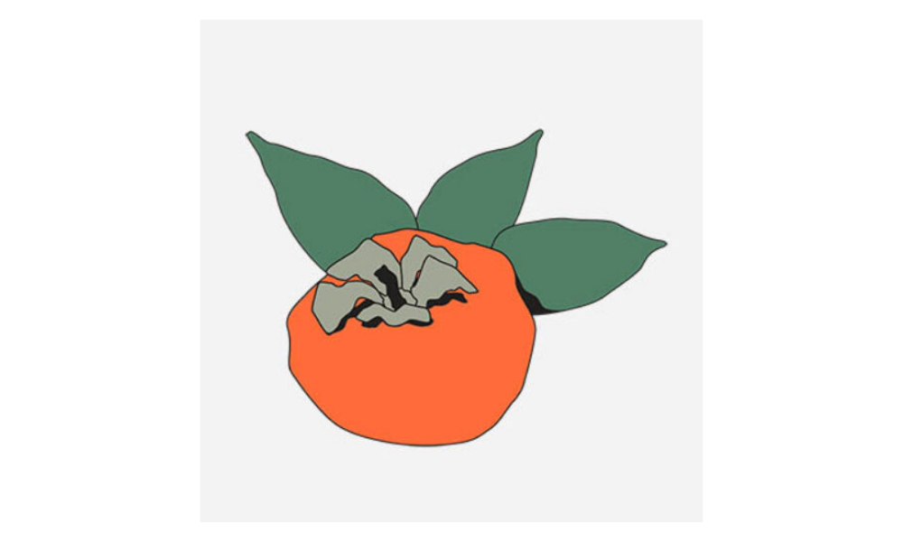 Persimmon's