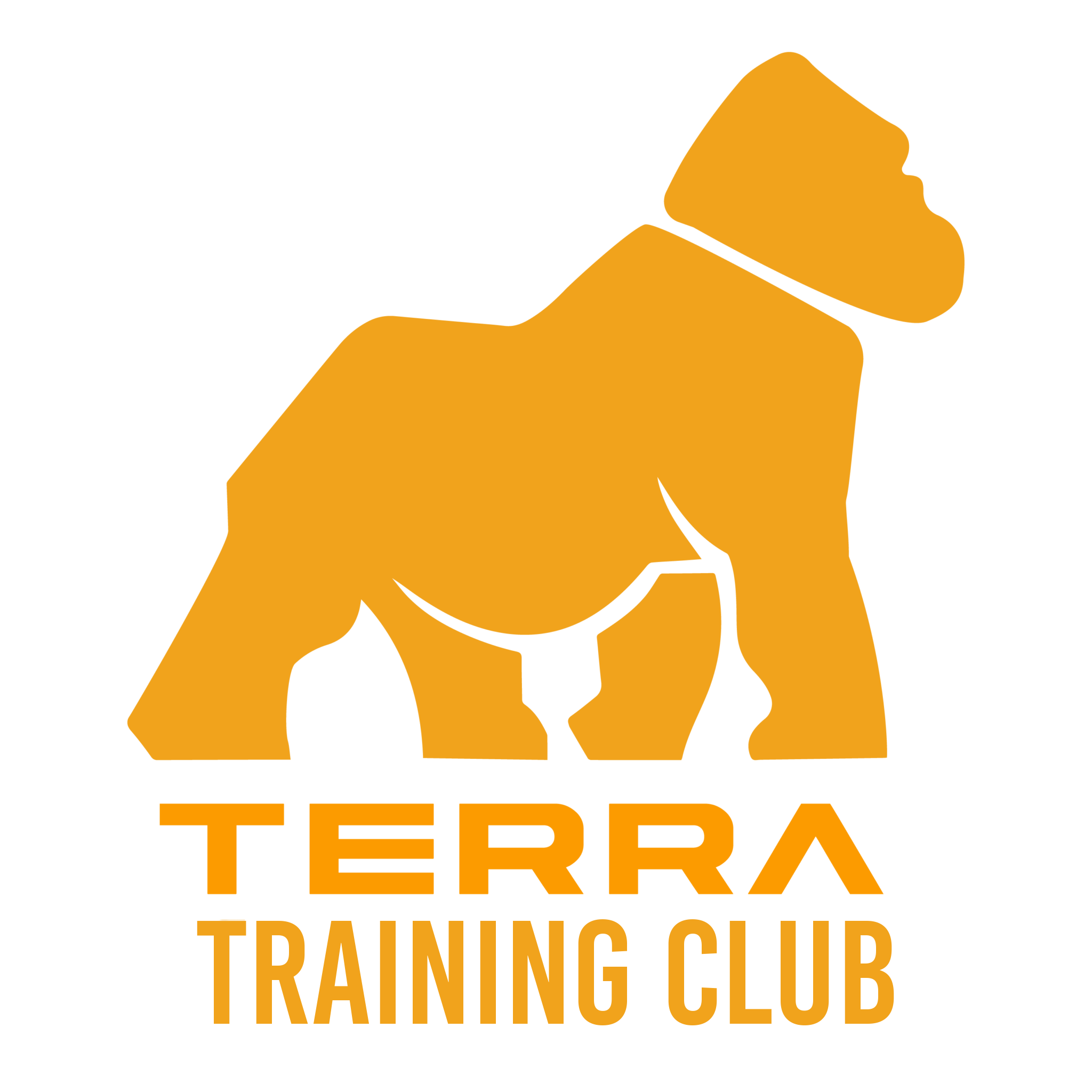 Terra Training Club